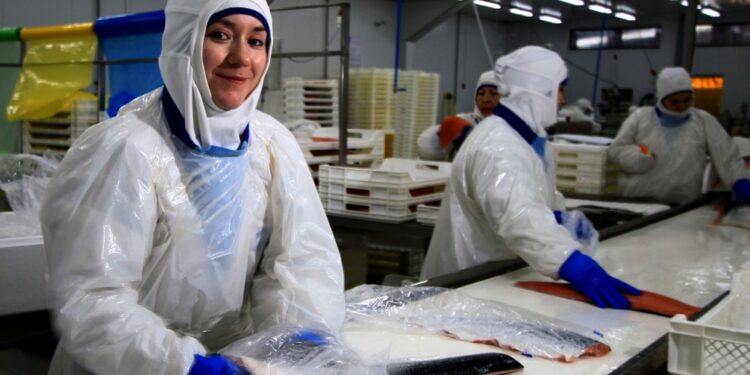 La participación laboral femenina en la industria del salmón de la Región de Los Lagos, un nuevo desafío en tiempos de pandemia.