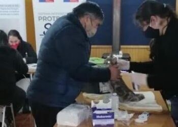 PRIMER OPERATIVO DEL PLAN VETERINARIO EN TERRENO ATENDIÓ A 136 MASCOTAS EN OSORNO