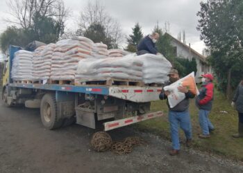 Municipio distribuyó más de 82 mil kilos de alimento para animales en sectores rurales de Osorno