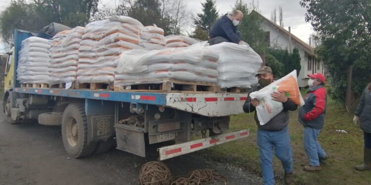 Municipio distribuyó más de 82 mil kilos de alimento para animales en sectores rurales de Osorno