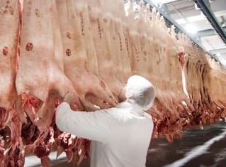 Tribunal alemán levanta restricciones introducidas por brote en matadero