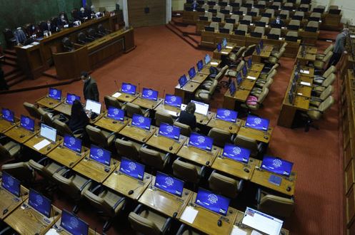 Cámara de Diputados aprueba informe de comisión mixta y declara constitucional postnatal de emergencia