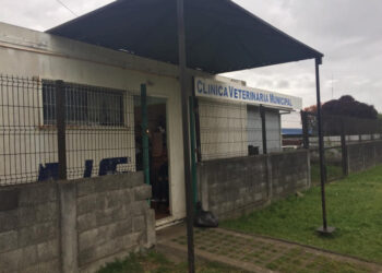 Municipio reanuda atención de clínica veterinaria