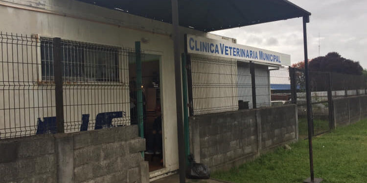 Municipio reanuda atención de clínica veterinaria