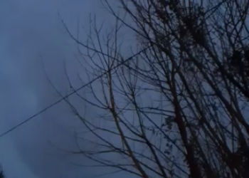 Caída de árbol sobre líneas de tendido eléctrico deja a emisoras sin transmisión