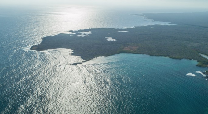 Ecuador pedirá apoyo a Chile y otros países por presencia de flota pesquera china cerca de Galápagos