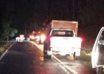 En la provincia de Osorno desconocidos atacan a empresa forestal Anchile  y dejan árboles en la ruta