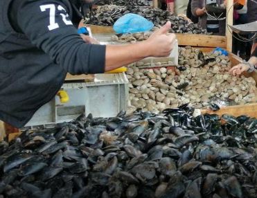 Amplio surtido de pescados y mariscos disponibles en Feria PAC