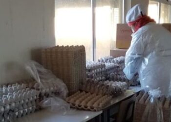 COMIENZA SÉPTIMA ENTREGA DE ALIMENTOS PARA ESTUDIANTES DE LA ESCUELA SOCIEDAD DE SOCORROS