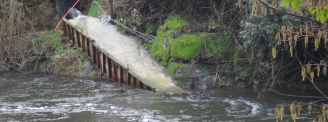 NUEVA CONTAMINACIÓN AL RÍO DAMAS DENUNCIA LA RED AMBIENTAL DE OSORNO