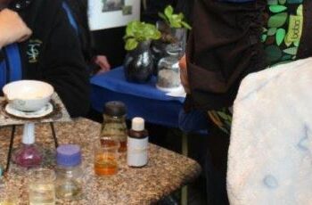 EN MODALIDAD ONLINE REALIZARÁN 9° FERIA DE LA CIENCIA Y TECNOLOGÍA
