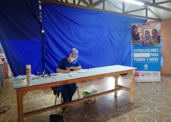 Mil mascotas esterilizará el Municipio local a través del programa “responsabilidad compartida”