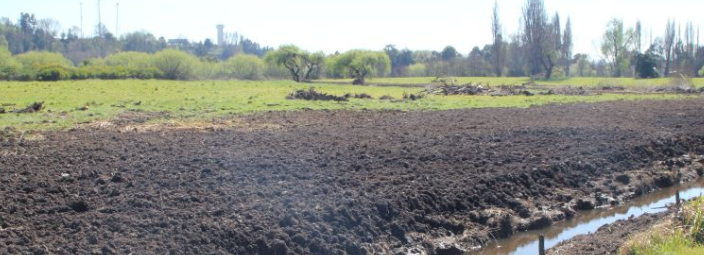 VALORAN PARTICIPACIÓN CIUDADANA TRAS APROBACIÓN DE REGLAMENTO DE LEY DE HUMEDALES URBANOS