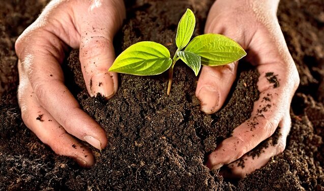 Seremi del Medio Ambiente invita a participar en Consulta Pública previo a elaboración de Estrategia Nacional de Residuos Orgánicos