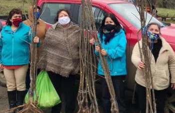 MÁS DE 800 FAMILIAS RURALES FUERON BENEFICIADAS CON PROGRAMA MUNICIPAL “APOYO AL HUERTO DE AUTOCONSUMO”