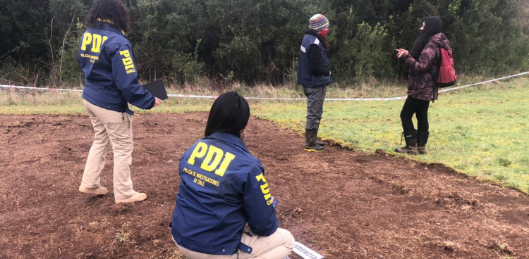 BIDEMA VALDIVIA INVESTIGA HALLAZGO DE POSIBLES RESTOS ARQUEOLÓGICOS CAMINO A NIEBLA