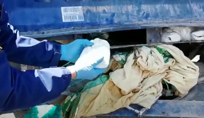 Investigan a concejal de Camiña por tráfico de drogas: Lo acusan de usar su credencial para evadir controles sanitarios