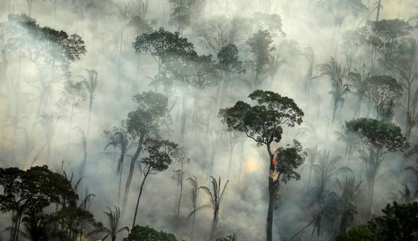 Incendio consume parte de reserva ecológica Yanacocha de Ecuador