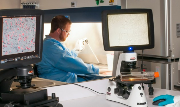 Desarrollan test rápido para detectar el cáncer de mamá en los Estados Unidos