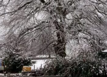 NIEVE CUBRIÓ SECTORES DE LA PROVINCIA DE OSORNO
