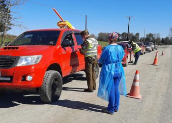 Autoridades estuvieron en apertura de tres  puntos de control sanitario en Puyehue