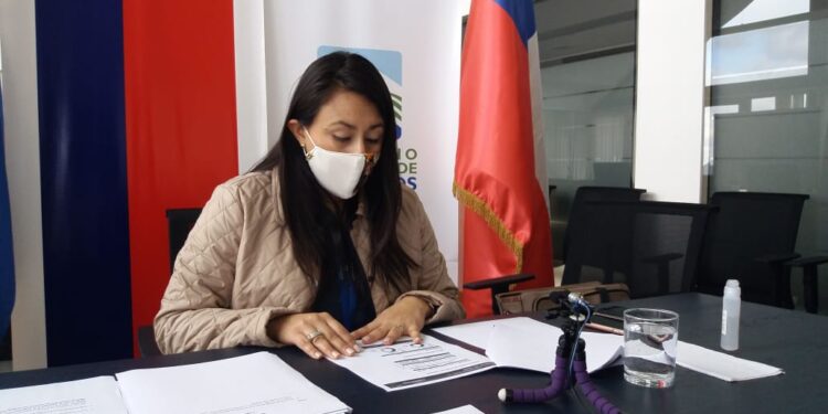 #Puyehue Es responsabilidad de la Municipalidad implementar las aduanas sanitarias.