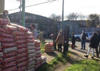 Realizan jornada de venta de pellet enfocada para adultos mayores de Osorno.