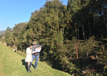 Planta de proceso de algas se instalará en San Juan de la Costa