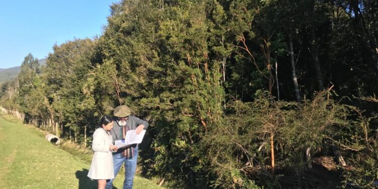 Planta de proceso de algas se instalará en San Juan de la Costa