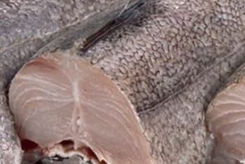 ESTE MARTES 1 DE SEPTIEMBRE SE LEVANTA LA VEDA DE LA MERLUZA