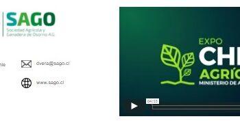 SAGO A.G.: “EXPO CHILE AGRÍCOLA DIGITAL ES UNA GRAN EXPERIENCIA QUE QUEREMOS REPLICAR EN LA VERSIÓN 2020 DE FISUR”