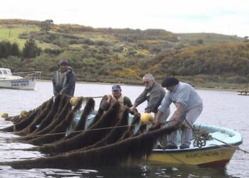 ABRE FONDO PARA APOYAR CULTIVOS PILOTO EN ÁREAS DE MANEJO DE ORGANIZACIONES DE PESCADORES ARTESANALES.