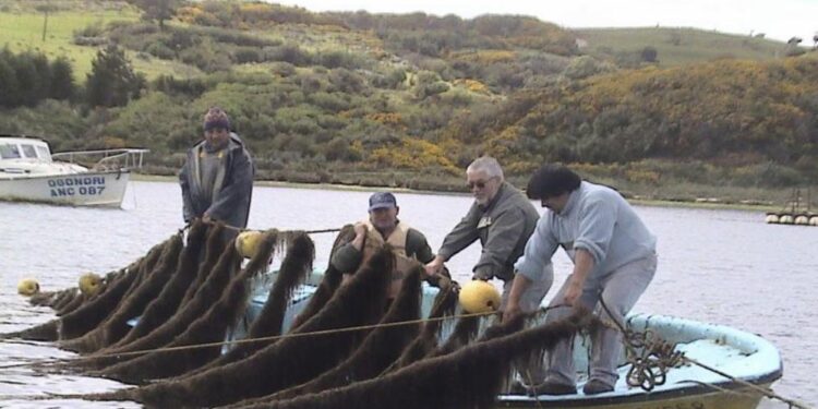ABRE FONDO PARA APOYAR CULTIVOS PILOTO EN ÁREAS DE MANEJO DE ORGANIZACIONES DE PESCADORES ARTESANALES.