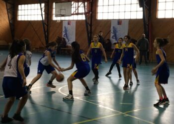 Un encuentro regional de básquetbol formativo realizará Mindep e IND de manera virtual