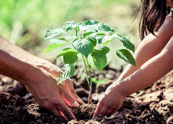 Seremi del Medio Ambiente impulsó capacitación en producción vegetal sustentable para comunidades escolares.