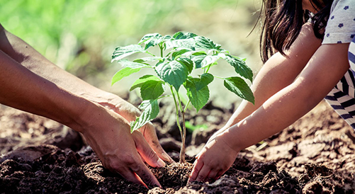 Seremi del Medio Ambiente impulsó capacitación en producción vegetal sustentable para comunidades escolares.