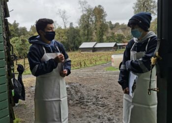 Liceo Bicentario People Help People de Pilmaiquén impulsa estrategia de clases prácticas focalizas para estudiantes de cuarto medio