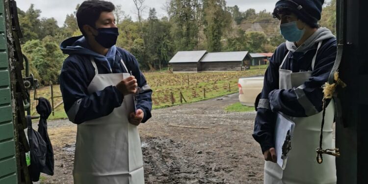 Liceo Bicentario People Help People de Pilmaiquén impulsa estrategia de clases prácticas focalizas para estudiantes de cuarto medio