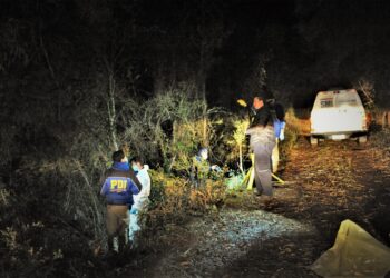 Joven murió aparentemente atacada por puma en la región de Los Rios.