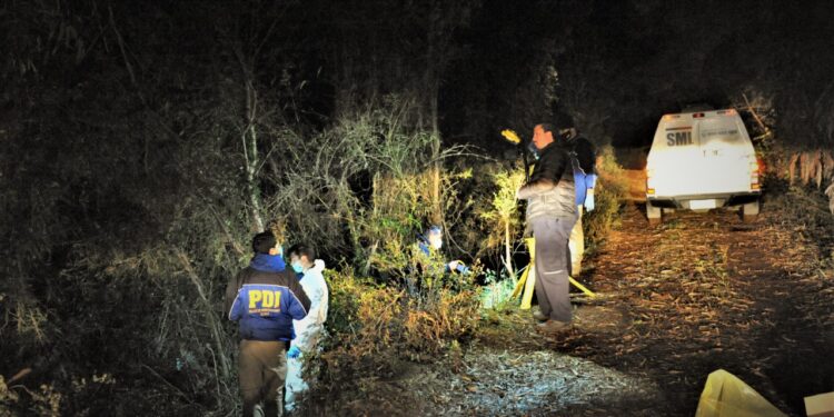Joven murió aparentemente atacada por puma en la región de Los Rios.