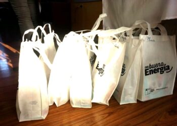 600 familias de la región de Los Lagos serán beneficiadas con kits de Eficiencia Energética.