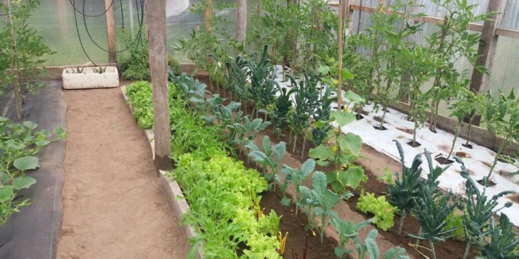 Ministerio de Agricultura lanza curso de especialización en producción hortícola para asesores técnicos de Chiloé.