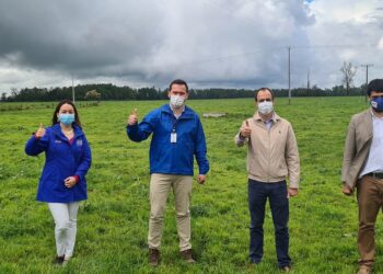 Emprendedores osorninos formalizan alianza con Manuka para fortalecer sus negocios