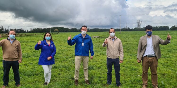 Emprendedores osorninos formalizan alianza con Manuka para fortalecer sus negocios