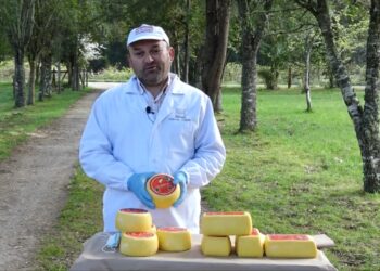 Productores de queso valoran apoyo del Ministerio de Agricultura e INIA Remehue