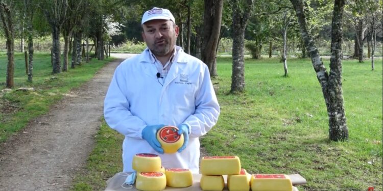 Productores de queso valoran apoyo del Ministerio de Agricultura e INIA Remehue