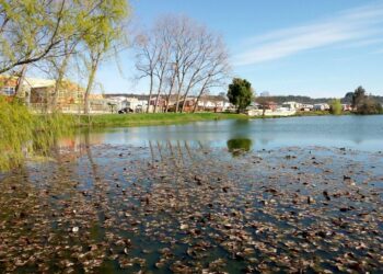 Valoran publicación de Reglamento de Ley de Humedales Urbanos en Diario Oficial