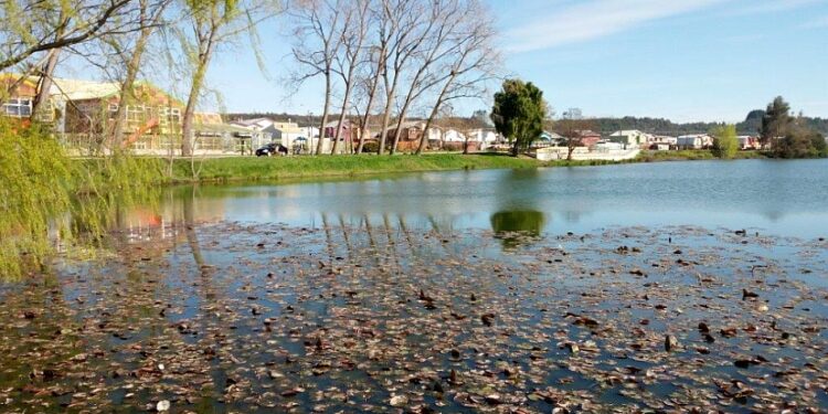 Valoran publicación de Reglamento de Ley de Humedales Urbanos en Diario Oficial