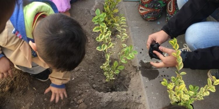 Llaman a “unirse  a la red de acción climática más grande de Chile”.