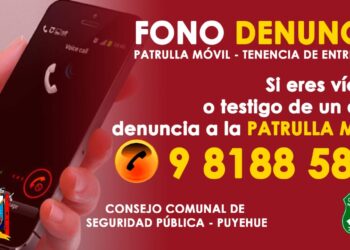 Habilitan «Fono Patrulla Móvil Tenencia Entre Lagos».